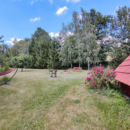 Apartament Izerskie Gaje Wojcieszyce Eksteriør bilde